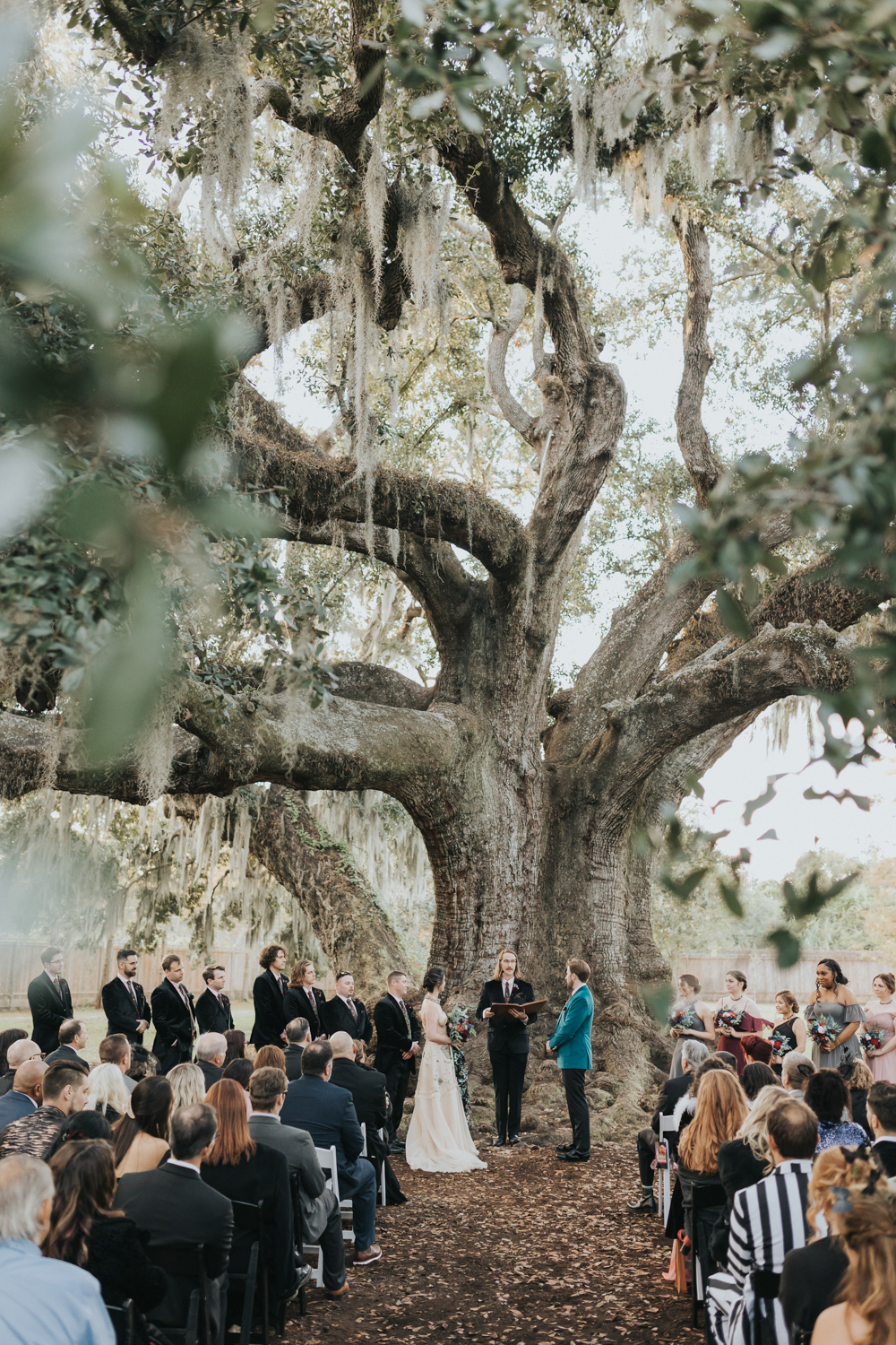 Wedding Ceremony at the Tree of Life in Audubon Park