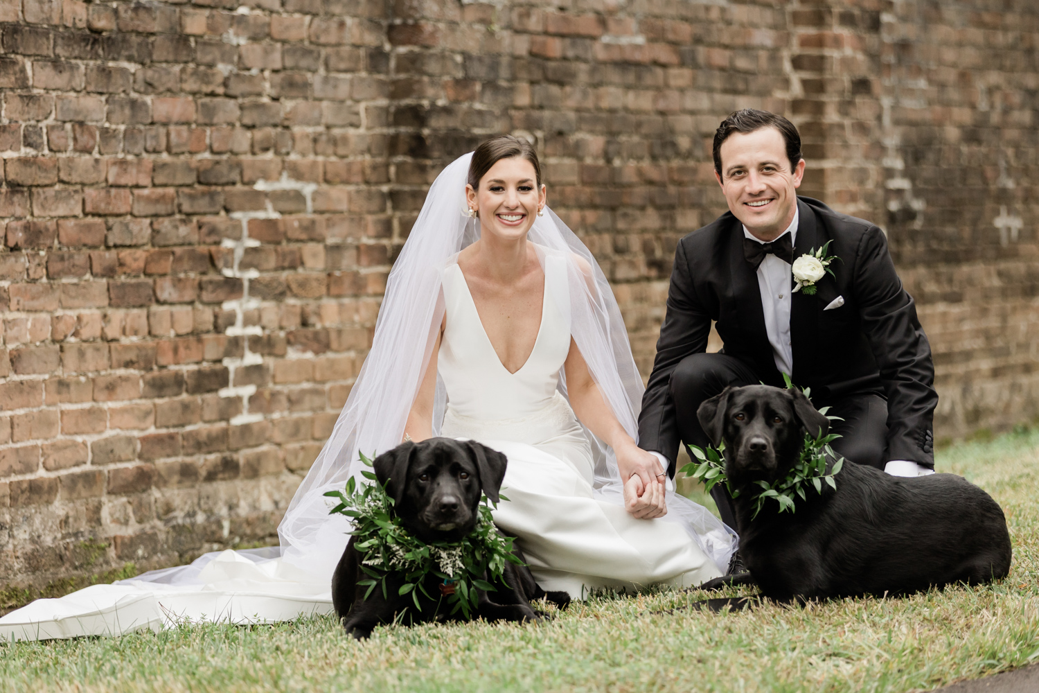 the bride and groom with their dogs 