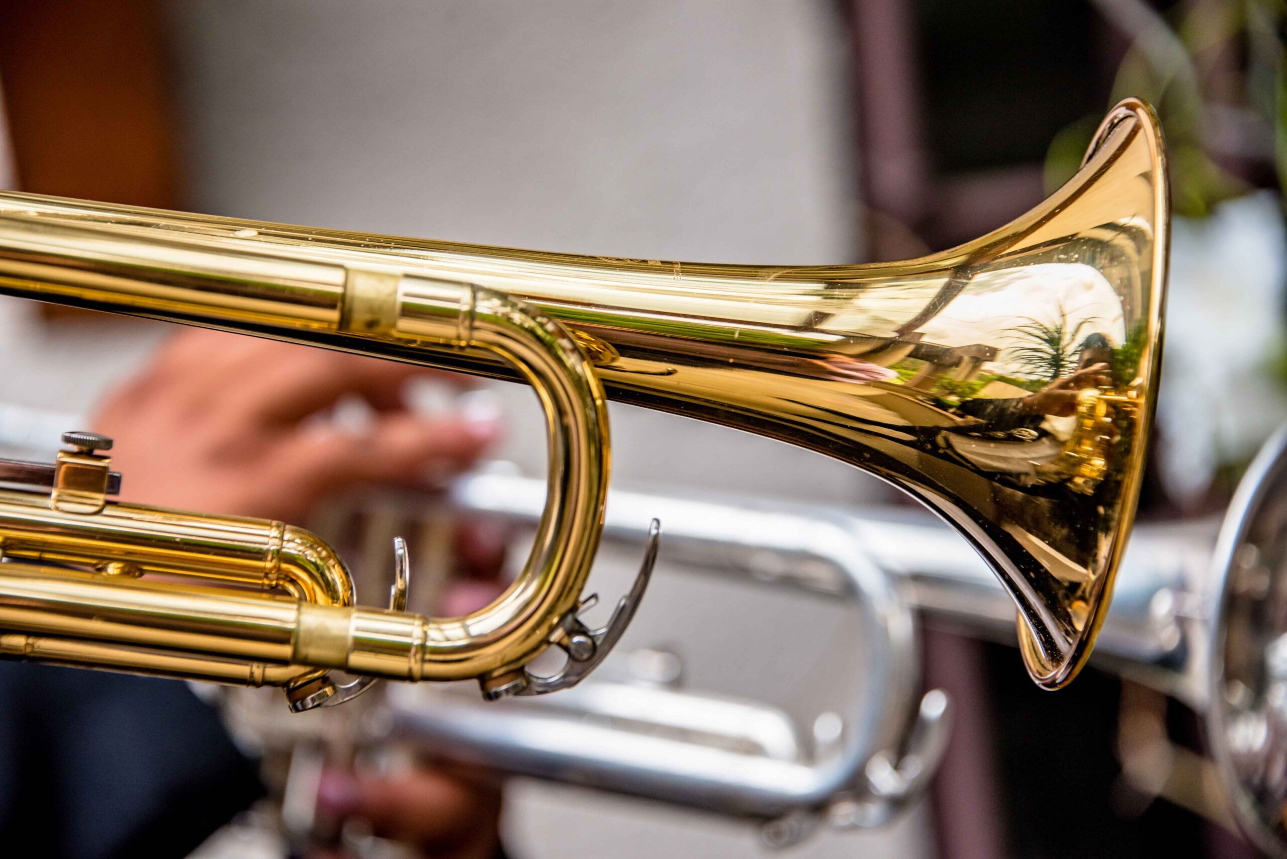 Ideas for a JazzFest Wedding