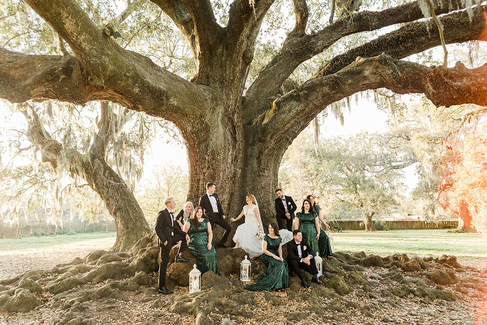 Bride, groom and bridal party pose for a picture in front of the Audubon Tree of Life
