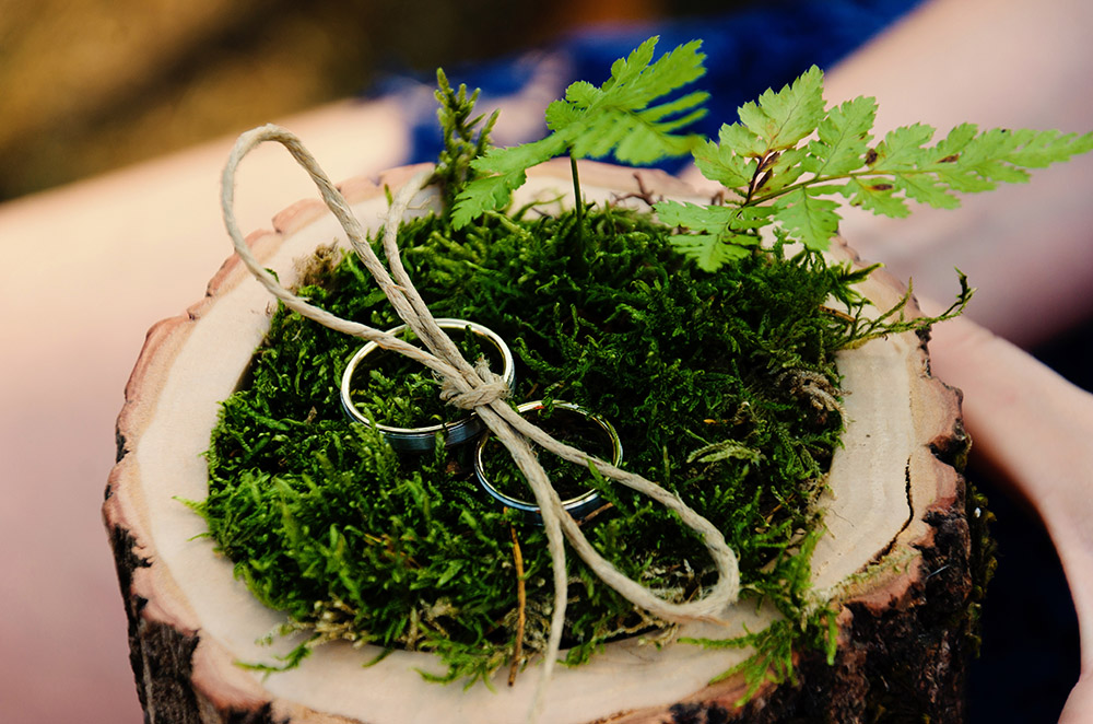 Engagement Rings on a bed of moss | photo: stock.adobe.com/Alona Dudaieva