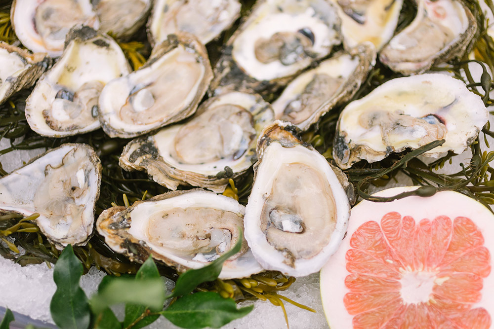 Fresh open oysters on ice with seaweed, grapefruit half, and green leaves, ready to serve.