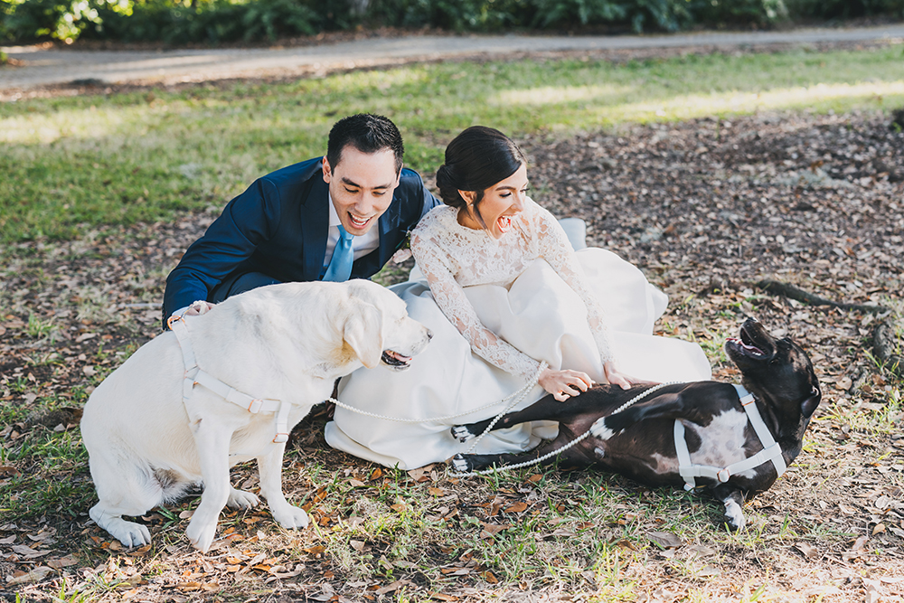 Bride and groom laughing while sitting on the ground with their dogs during a playful outdoor portrait.