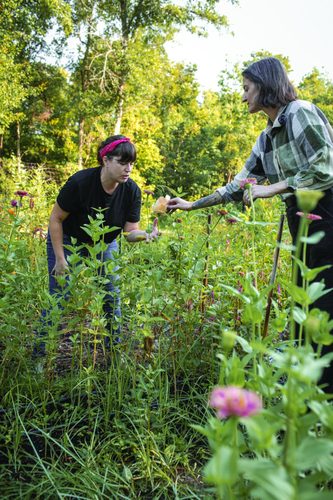 Two floral designers work among tall garden flowers while inspecting blooms during an outdoor harvest.