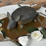 Armadillo Grooms Cake Armadillo Grooms Cake
