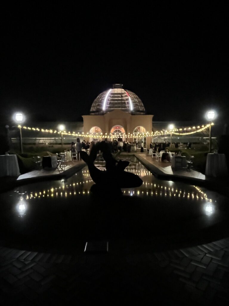 lights-at-arbor-room