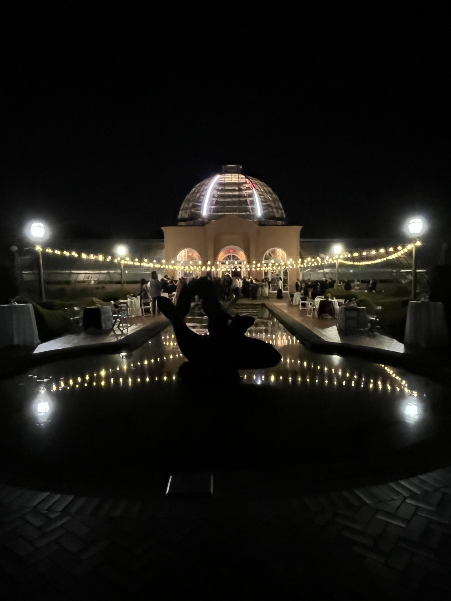 lights-at-arbor-room