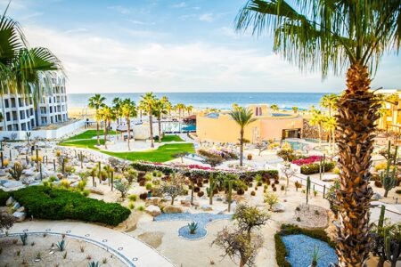 Sunny resort with palm trees, gardens, and paths overlooking the ocean and beach, modern buildings in the background.