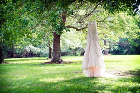 Lace wedding dress hanging from a tree in a sunny New Orleans park, with greenery and dappled sunlight.