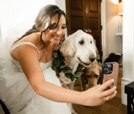 Bride in white dress smiles for selfie with two dogs indoors, one in a floral collar, warm lighting and wooden floors.