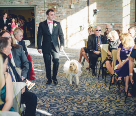 Man in tuxedo walks white dog on leash down wedding aisle, guests watch from both sides in a sunlit room.