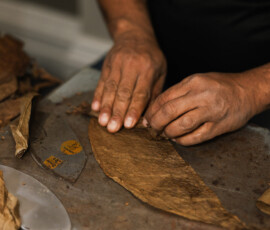 Hands rolling a dried tobacco leaf on metal, with extra leaves and a knife—evoking classic Louisiana wedding inspiration.