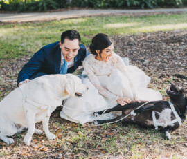 Bride and groom in wedding attire laughing outdoors, petting two playful dogs on leafy grass at a Louisiana wedding.