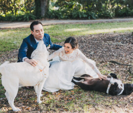 Bride and groom laugh on grass with two dogs during their Louisiana wedding; one dog licks the groom, another gets belly rubs.