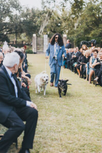 Person in blue suit walks yellow and black dogs down outdoor aisle at New Orleans wedding, inspiring charming ceremonies.