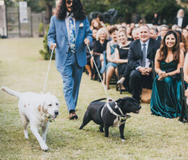 Man in blue suit walks two dogs on leashes down outdoor wedding aisle as smiling guests watch.