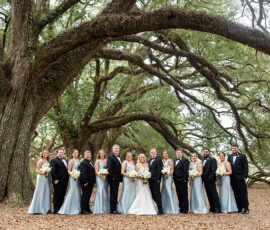 Wedding party poses under arching trees; bride, groom, and attendants create a perfect Gulf South Louisiana wedding scene.
